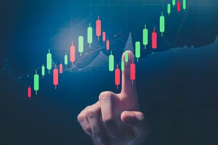 Stock Growth